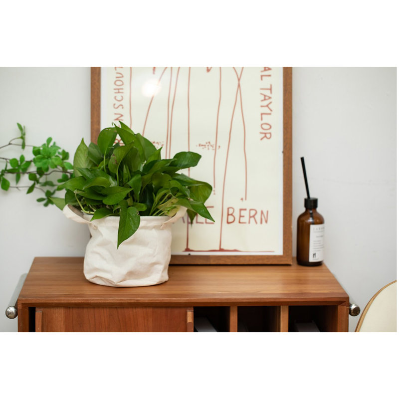 Ensemble de paniers en toile