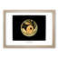 Planet Mars by E. L. Trouvelot - Picture Frame Painting Print-55601206-55601208
