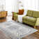 Oriental Indoor Rug