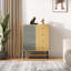 Metal Standard Accent Cabinet