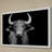 Cow Stare by Marmont Hill - Single Picture Frame Print-2138213887-2053204016