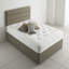 Louis Upholstered Headboard-17840582