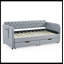 Lit Pembreley-900977532