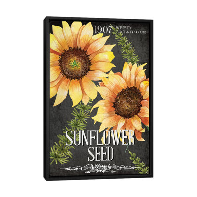 Sunflower Seed by Kimberly Allen - Print on Canvas