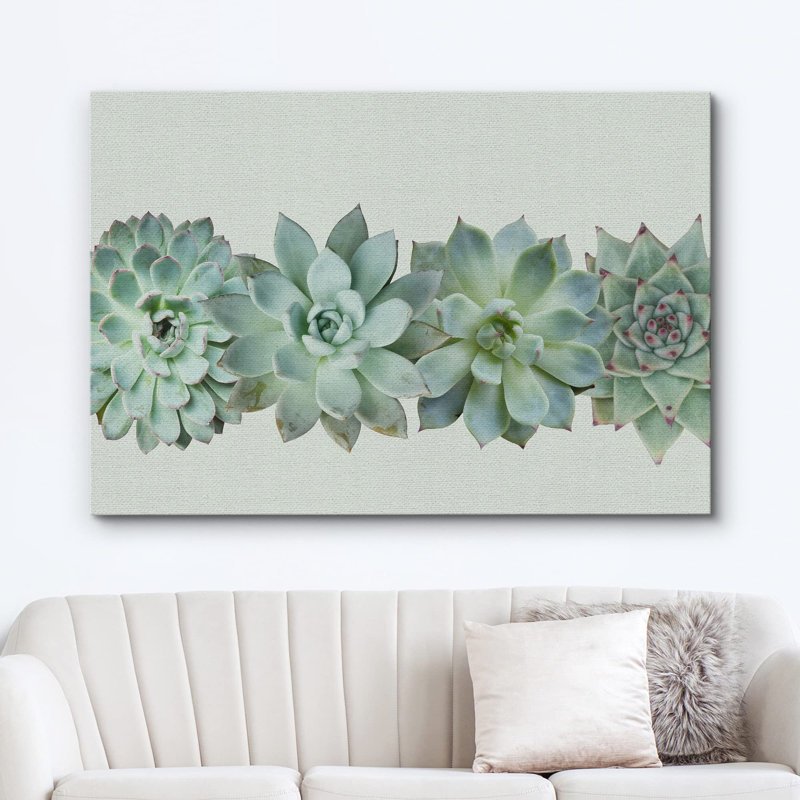«Variété de plantes succulentes du désert vert, photographie de gros plan ultra» sur, H 12 po x l 18 po