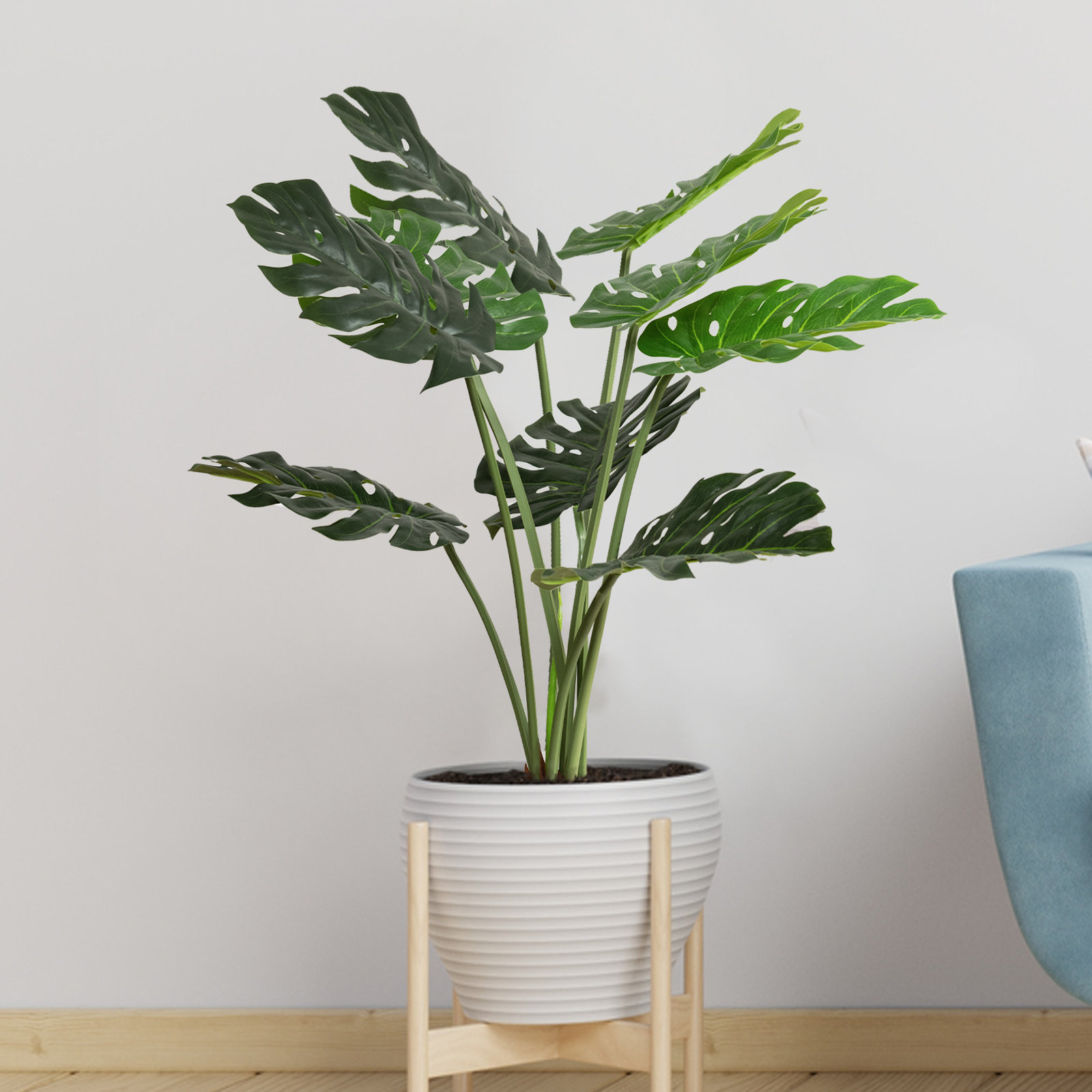Monstera Plant in Pot, 48" H x 8" W x 8" D, 1