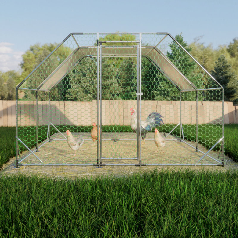Grand poulailler en cage, H 76,32 po x l 154,08 po x P 119,28 po