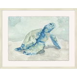 Australian Sea Turtle 1 Print