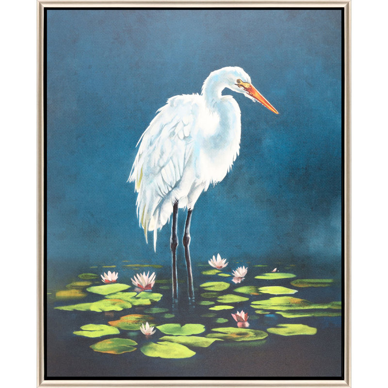 Aigrette dans des nénuphars