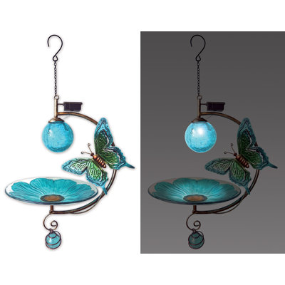 Barny Glass Hanging Tray Bird Feeder