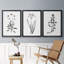 Inky Botanical I - Ensemble de 3 peintures-818675300-817928885