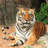 Tiger - Wrapped Canvas Print-766750069
