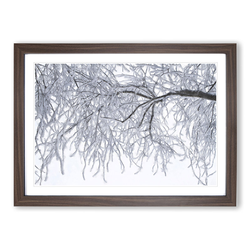 Tree in the Winter Vol.3 - Picture Frame Graphic Art, 27cm H x 36cm W x 2cm D, Walnut