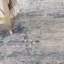 Tapis intérieur gris / bleu / ivoire Ariaya-1634371851