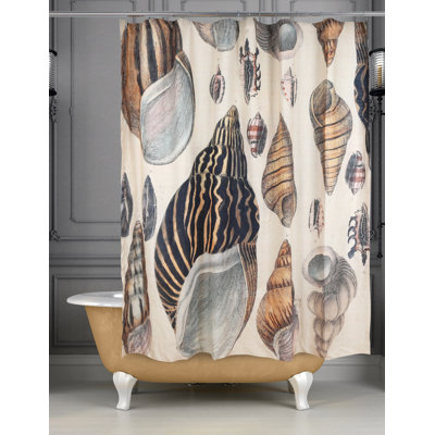 Rideau de douche Conchology