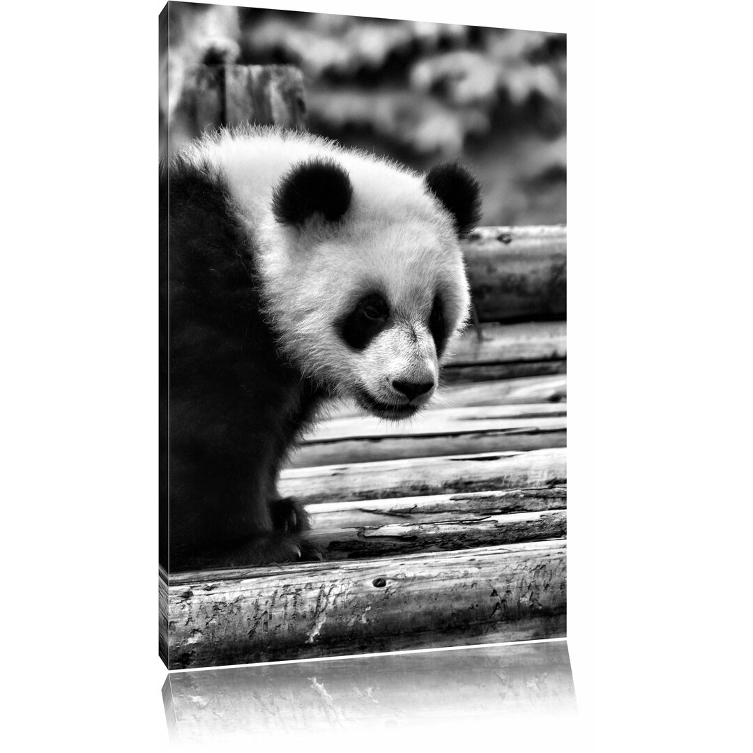 Leinwandbild Niedlicher junger Panda auf Holzstämmen in Monochrom