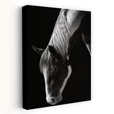 Frank Ma - Wrapped Canvas Print