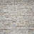 Elle Indoor Rug-581779991