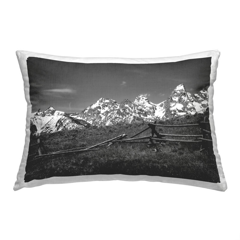 Throw Pillow