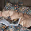Ensemble d'édredon en microfibre à imprimé floral et feuille Vintage-108994938-109231336