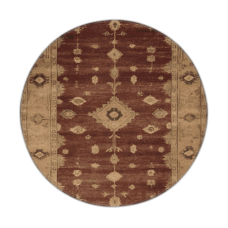 Tapis intérieur et extérieur brun Overdyed, Rond 5 pi