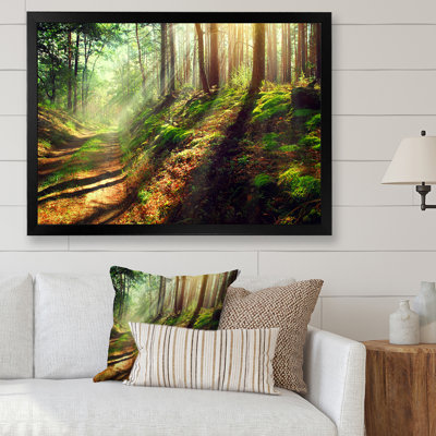 Sun Rays In Misty Old Forest IV - Art sur toile traditionnel