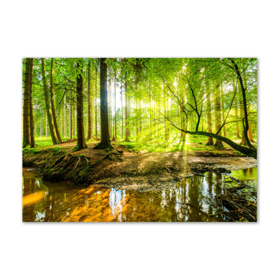 A Waterfall In The Forest - Wrapped Canvas Print