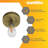 Flush Mount