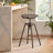 Belkis Adjustable Height Counter Stool with Metal Frame-23843135