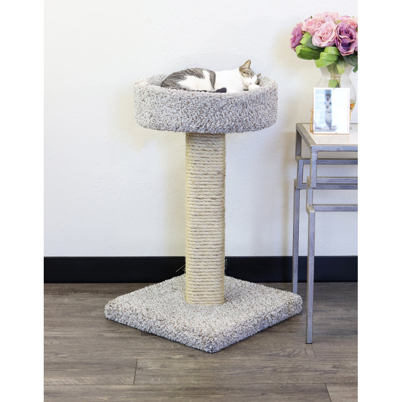 Grattoir pour chat 25 "avec perchoir New Cat Condos, H 25 po x l 16 po x P 15,5 po
