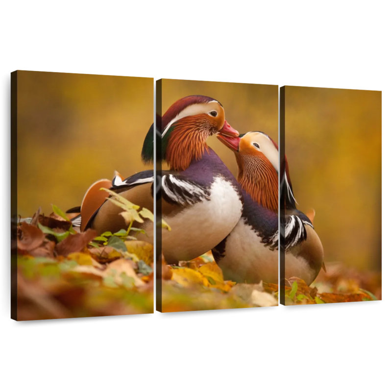 Brampt Loving Mandarin Ducks, 24" H x 38" W