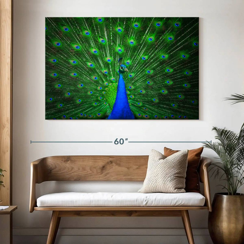 Plume de paon vert vif Crowle, H 34 po x l 51 po