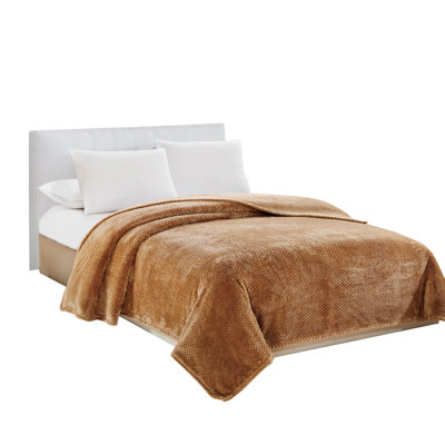 Couverture Ardilla