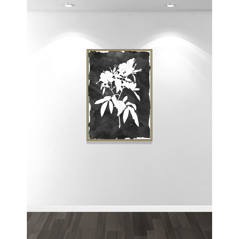 «Black Botanical I» par Carol Robinson - impression encadrée, Cadre doré, H 16,25 po x l 14,25 po x P 0,88 po