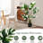 47'' Faux Palm Plant in Pot
