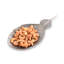 Song Bird Metal Decorative Tray