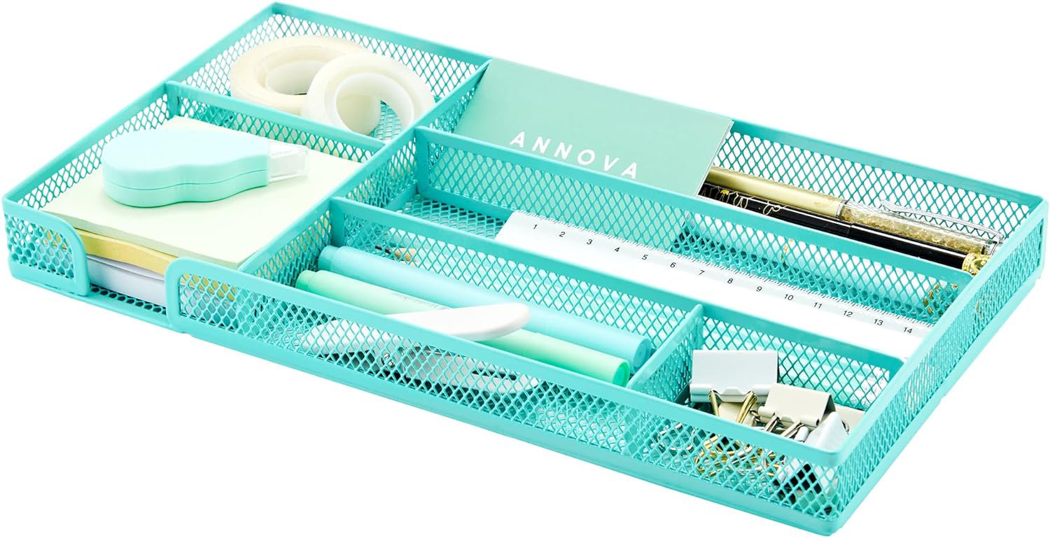 Rebrilliant Desk Drawer Organizer Tray for Office Organization
