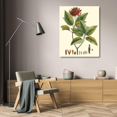 Winston Porter Hierseman Gallery Wrapped Canvas Art Titled: Crimson Botanical IV