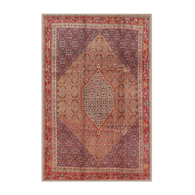 Oriental Indoor Rug