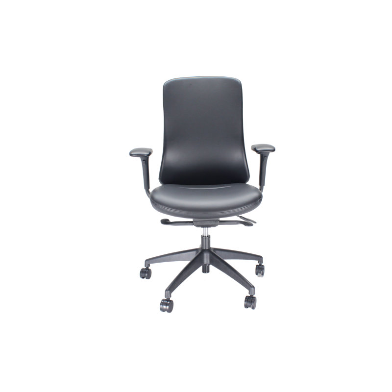 LiDO Premium Executive Office Chair - Commercial Grade Upholstered Ergonomic Seating with 4-Way Adjustable Arms & Seat Slide, Black Eco Leather