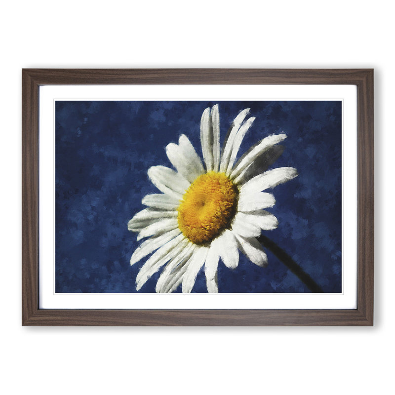 White Daisy Vol.5 Painting - Picture Frame Graphic Art, Walnut, 36cm H x 48cm W x 2cm D