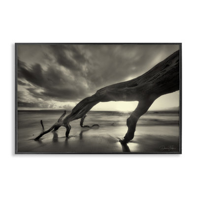 Tree Trunk on Shore Grey Framed Giclee Art by Dennis Frates