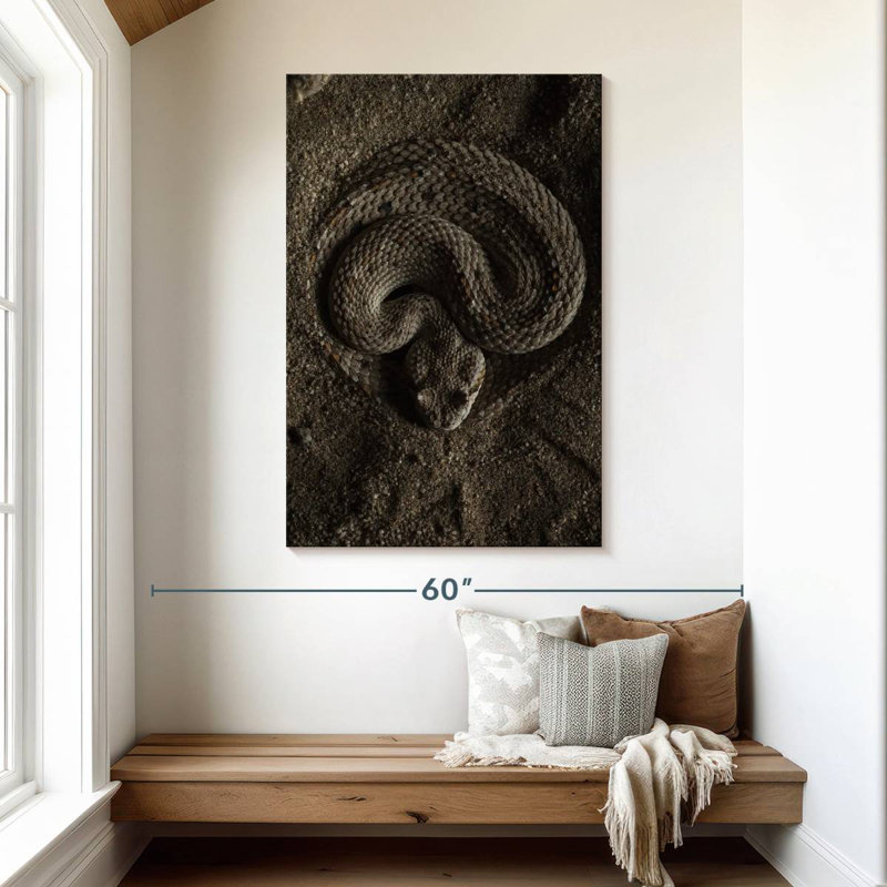 Brampt Coiled Horned Rattlesnake, 48" H x 32" W