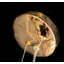 Lustre globe unique à 16 lumières Nealy-1285689780