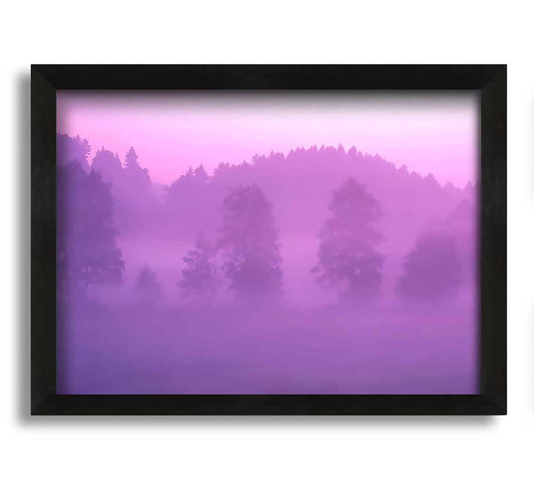 Gerahmtes Leinwandbild Lilac Forest Mist