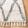Triplett Fringe Shag Performance Abstract Rug