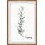 Rachel Byler - Single Picture Frame Print-37818131