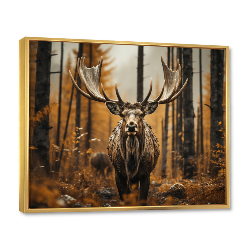 «Birtie Brown Yellow Moose Earthly Essence», reproduction d'art sur toile, Cadre flottant doré, H 16 po x l 32 po x P 1 po