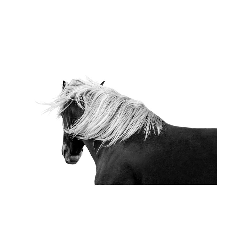 Flaxen Chestnut by Samantha Carter - Wrapped Canvas Print, 20.32 cm H x 30.48 cm W
