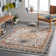 Aldusa Oriental Indoor Rug